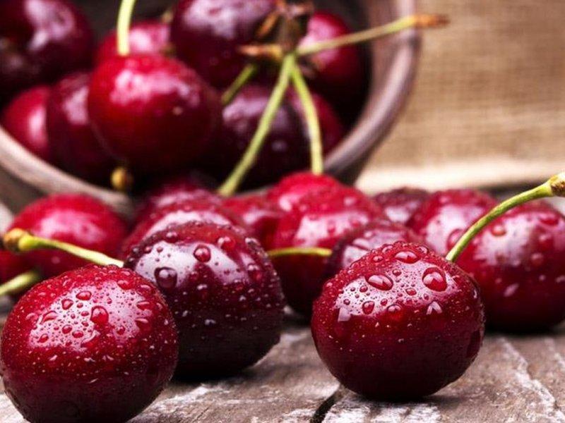 Вишня купить саженцы из питомника в Дебальцево